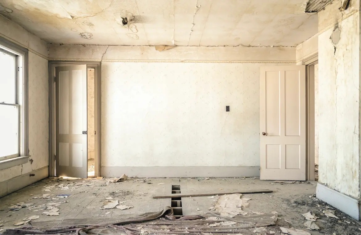 Waste disposal crew managing a cleanout project in Grayslake